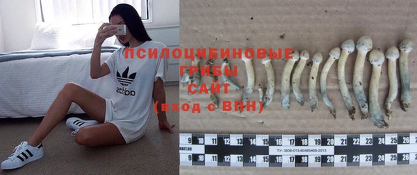 молекула духа Киренск